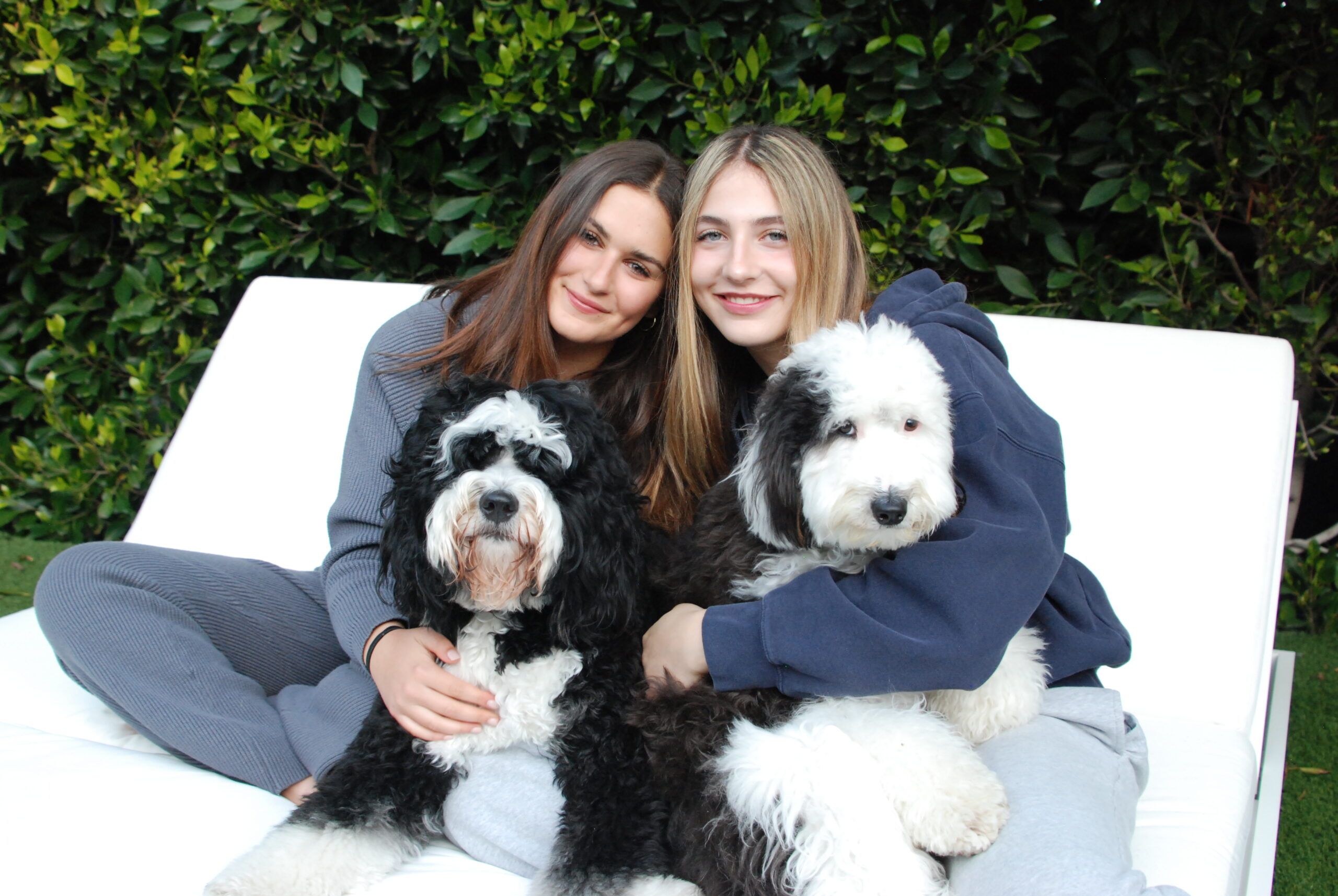 Pawsitivity founders Brooke and Julia with two sheepadoodles